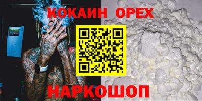 кокс Гатчина