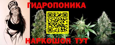 хмурый Гай