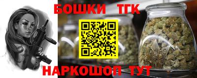 кокс Гатчина