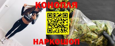 кокс Гатчина