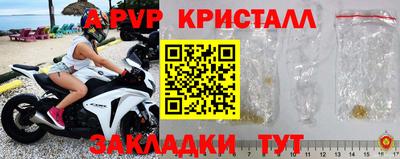 кокс Гатчина