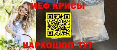 кокс Гатчина