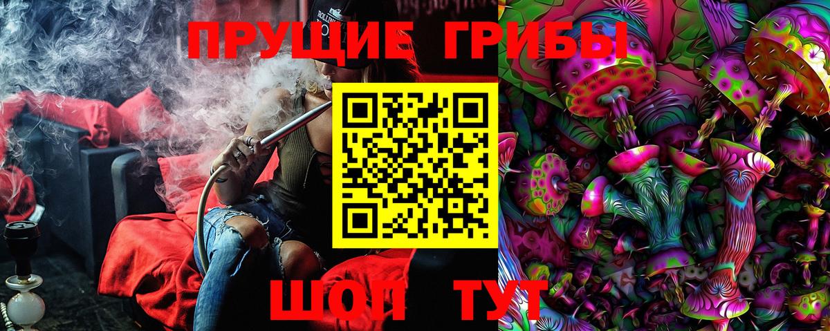 Псилоцибиновые грибы Psilocybine cubensis Мытищи